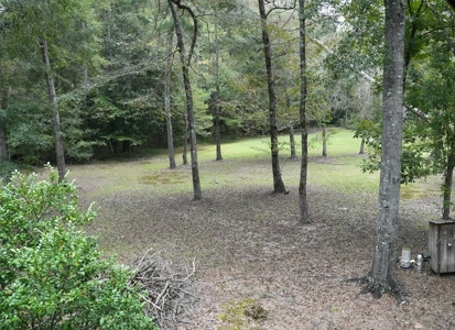 34 Acres Waterfront Property South Mississippi with Cabin - image 41