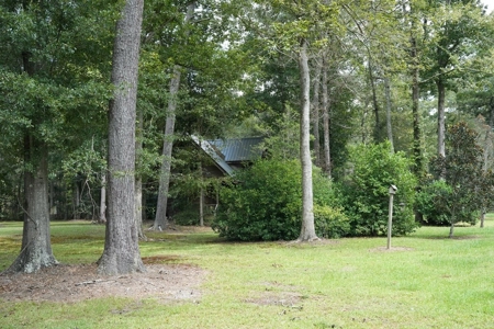 34 Acres Waterfront Property South Mississippi with Cabin - image 23