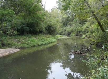 34 Acres Waterfront Property South Mississippi with Cabin - image 26