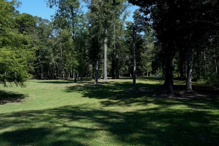 34 Acres Waterfront Property South Mississippi with Cabin - image 35