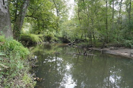 34 Acres Waterfront Property South Mississippi with Cabin - image 27