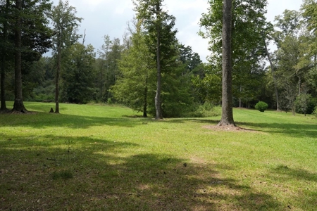 34 Acres Waterfront Property South Mississippi with Cabin - image 5