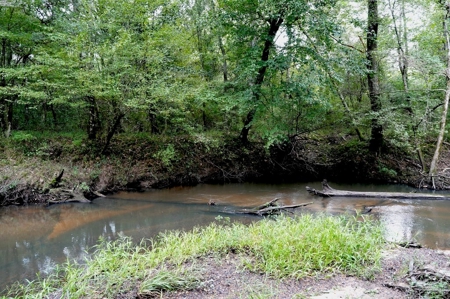 34 Acres Waterfront Property South Mississippi with Cabin - image 25
