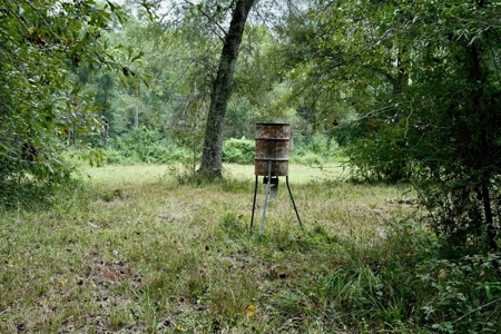 34 Acres Waterfront Property South Mississippi with Cabin - image 34