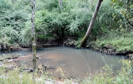 34 Acres Waterfront Property South Mississippi with Cabin - image 28