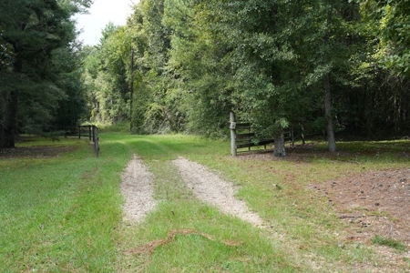 34 Acres Waterfront Property South Mississippi with Cabin - image 30