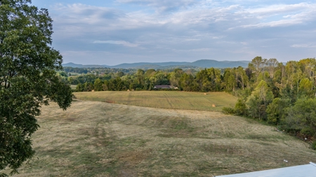 Bowlin Feed Store & Farm Online Auction - image 17