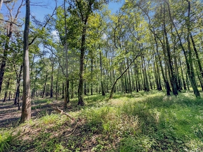 Duck Hunting Paradise for Sale in Ouachita Parish - image 37