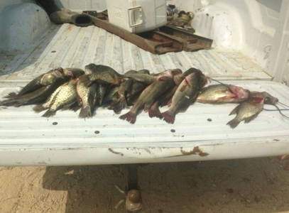 Duck Hunting Paradise for Sale in Ouachita Parish - image 8