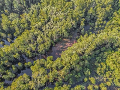 Duck Hunting Paradise for Sale in Ouachita Parish - image 28