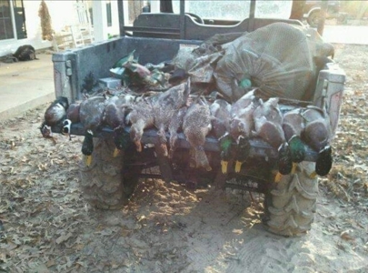 Duck Hunting Paradise for Sale in Ouachita Parish - image 2