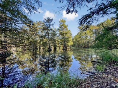Duck Hunting Paradise for Sale in Ouachita Parish - image 1