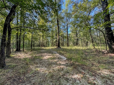 Duck Hunting Paradise for Sale in Ouachita Parish - image 32