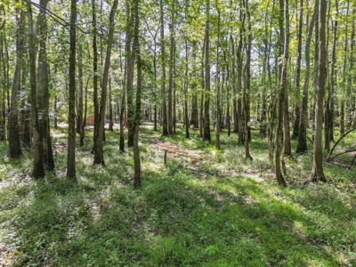 Duck Hunting Paradise for Sale in Ouachita Parish - image 23