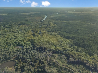 Duck Hunting Paradise for Sale in Ouachita Parish - image 27