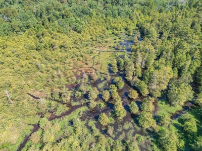 Duck Hunting Paradise for Sale in Ouachita Parish - image 25