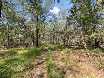 Duck Hunting Paradise for Sale in Ouachita Parish - image 36