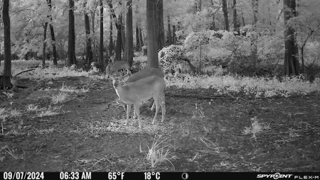 Duck Hunting Paradise for Sale in Ouachita Parish - image 6