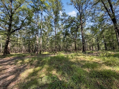 Duck Hunting Paradise for Sale in Ouachita Parish - image 33