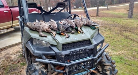 Duck Hunting Paradise for Sale in Ouachita Parish - image 14