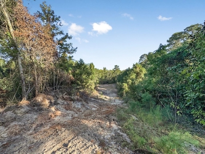 Duck Hunting Paradise for Sale in Ouachita Parish - image 30
