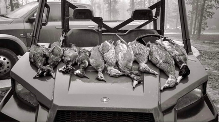 Duck Hunting Paradise for Sale in Ouachita Parish - image 16