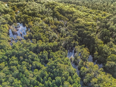 Duck Hunting Paradise for Sale in Ouachita Parish - image 29