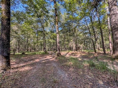 Duck Hunting Paradise for Sale in Ouachita Parish - image 35