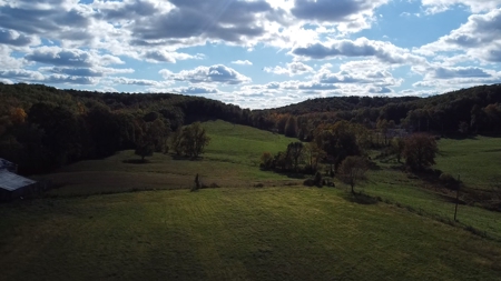 Farm For Sale, Bath County Ky - image 29
