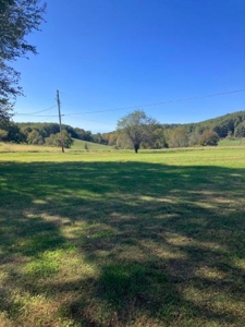 Farm For Sale, Bath County Ky - image 3