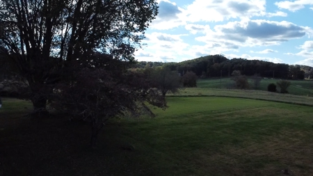Farm For Sale, Bath County Ky - image 49