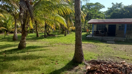 ¡A Unique Destination for Big Projects by the Sea at Playa S - image 7