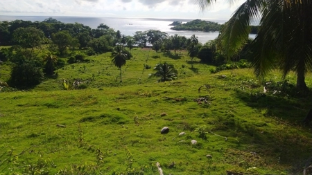 ¡A Unique Destination for Big Projects by the Sea at Playa S - image 5