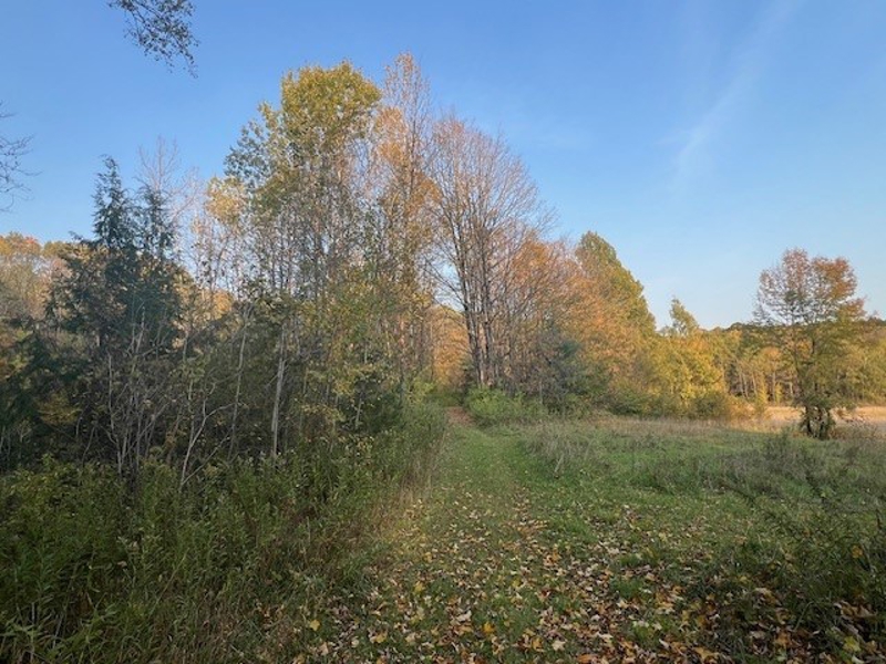 Trail to Back of Property