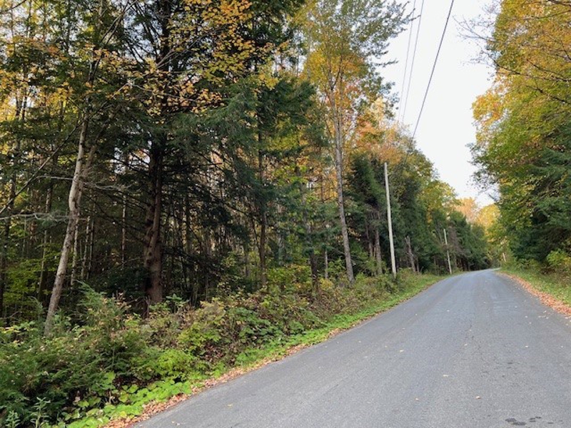 Road Front
