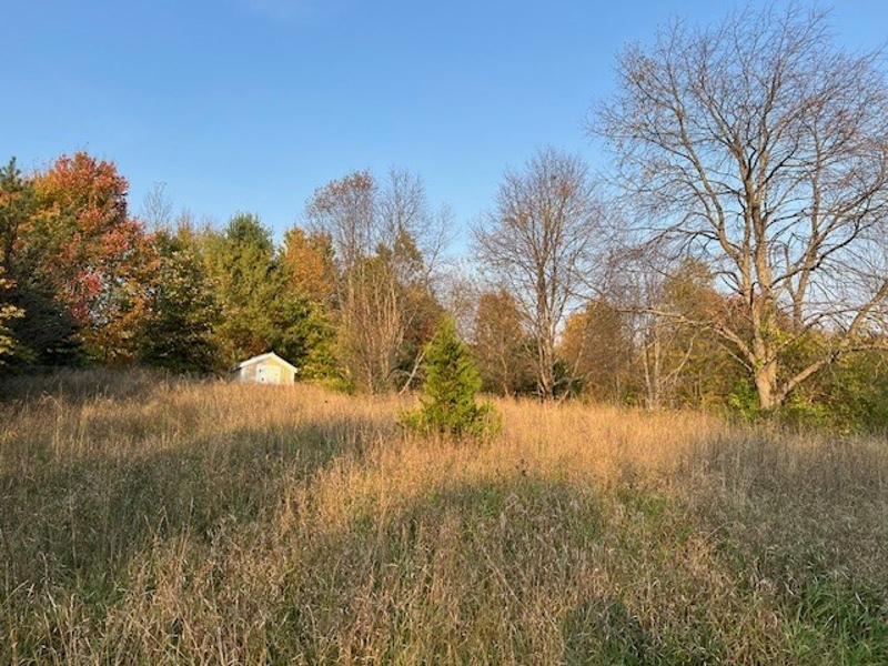 Field Behind Garage