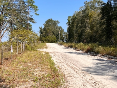 Country Home for Sale on 5 acres in Bell, FL - image 33