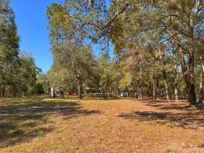 Country Home for Sale on 5 acres in Bell, FL - image 18