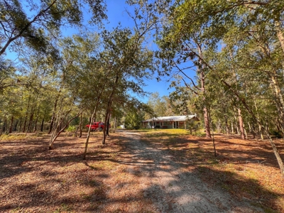 Country Home for Sale on 5 acres in Bell, FL - image 4