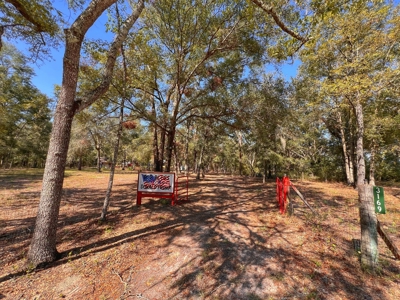 Country Home for Sale on 5 acres in Bell, FL - image 2