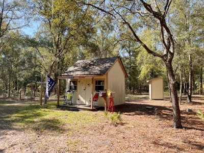 Country Home for Sale on 5 acres in Bell, FL - image 19