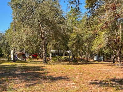 Country Home for Sale on 5 acres in Bell, FL - image 7