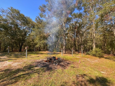 Country Home for Sale on 5 acres in Bell, FL - image 27