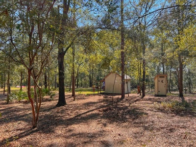 Country Home for Sale on 5 acres in Bell, FL - image 17