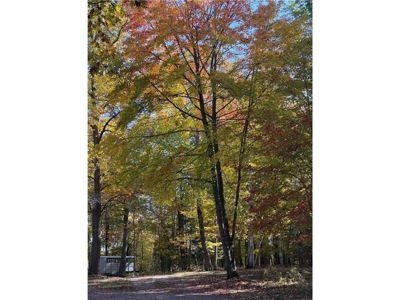 Country Home w/ Horse Pasture For Sale in Finlayson MN - image 43