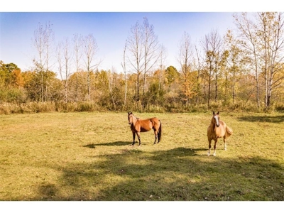 Country Home w/ Horse Pasture For Sale in Finlayson MN - image 42
