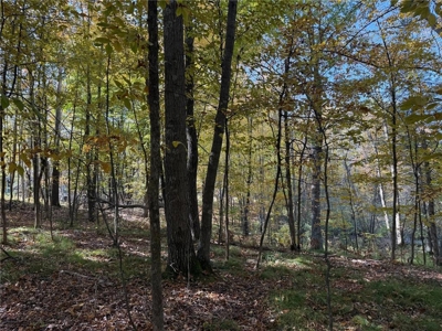 Country Home w/ Horse Pasture For Sale in Finlayson MN - image 44