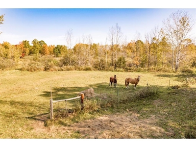 Country Home w/ Horse Pasture For Sale in Finlayson MN - image 47