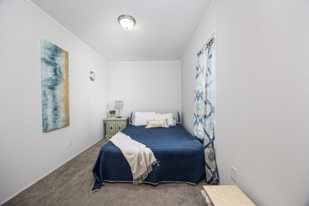 Sustainable Mini Farm In North Florida - image 2