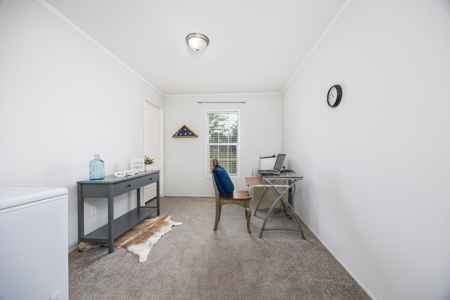 Sustainable Mini Farm In North Florida - image 1